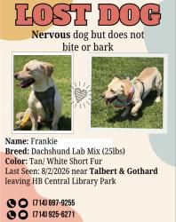 Reunited Male Dog last seen Near Hans Imports/Gothard St. Maybe around nature park besrbt, Huntington Beach, CA 92647