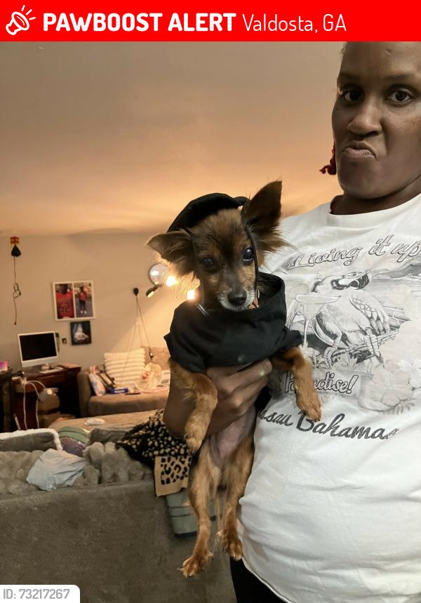 Lost Female Dog last seen Microchip, Valdosta, GA 31603