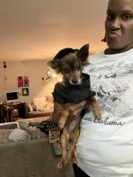Lost Female Dog last seen Microchip, Valdosta, GA 31603
