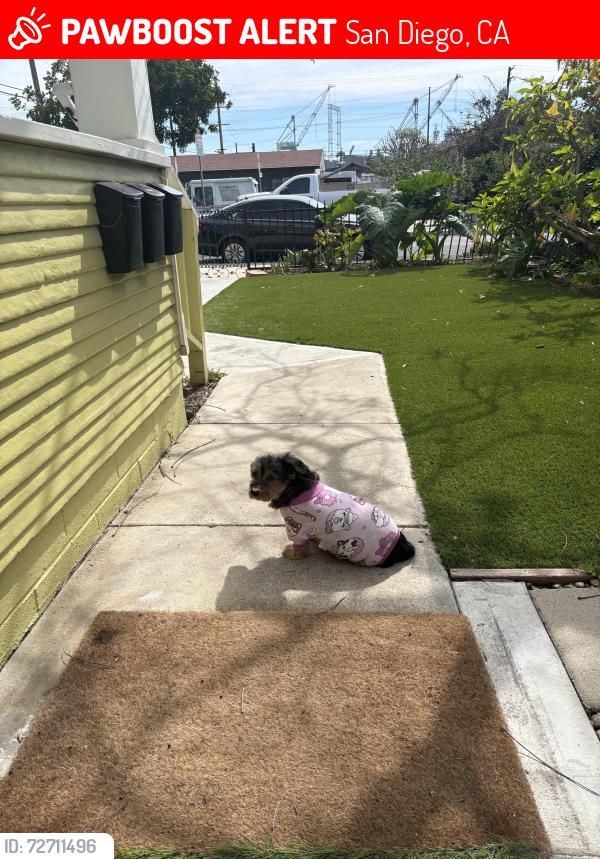 Lost Female Dog last seen Newton & S 27th St., San Diego, CA 92113