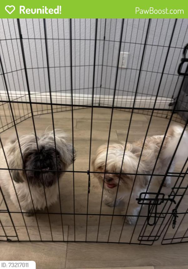 Reunited Male Dog last seen Blue diamond and Durango , Arlington ranch community, Las Vegas, NV 89178