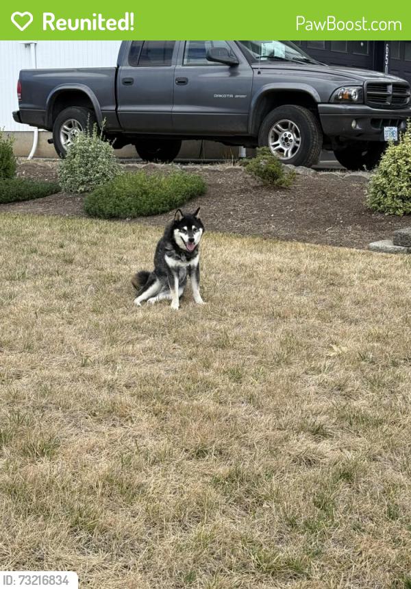 Reunited Male Dog last seen Hollydale elementary, Gresham, OR 97080