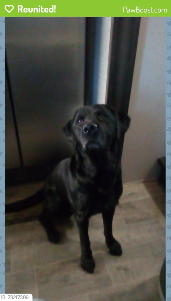 Reunited Male Dog last seen Near Florida rd, Deltona, FL 32738