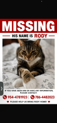Lost Male Cat last seen Near Laguna Springs Dr, Weston, FL 33326