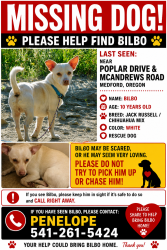 Lost Male Dog last seen McAndrews, Medford, OR 97504
