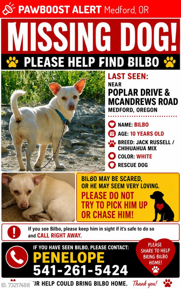 Lost Male Dog last seen McAndrews, Medford, OR 97504