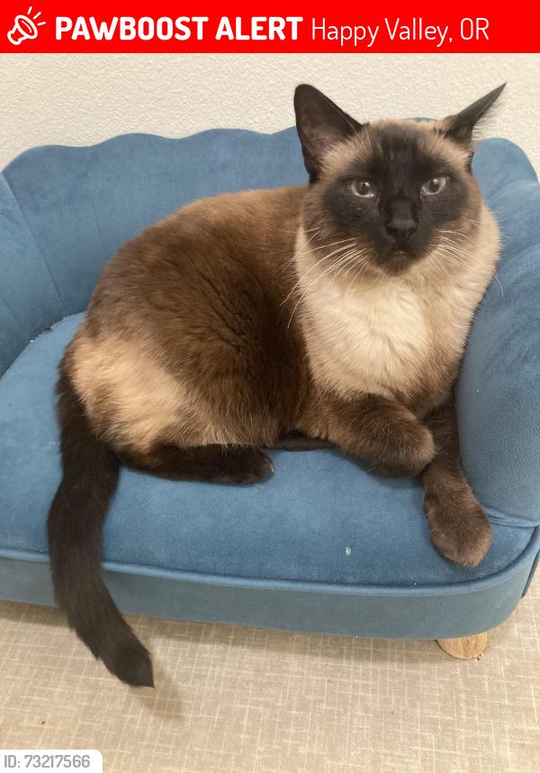 Lost Male Cat last seen SE Skyshow Pl. behind Shimmering Leaf, Happy Valley, OR 97086