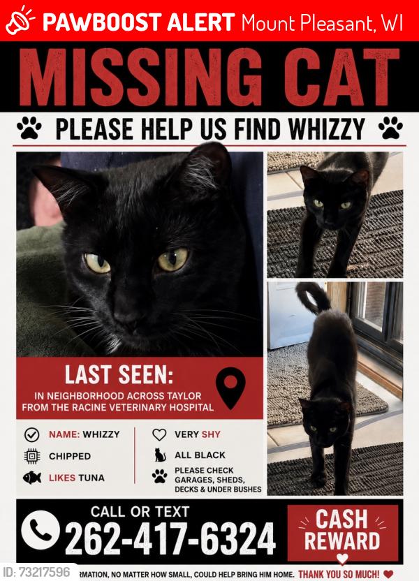 Lost Male Cat last seen Taylor Ave, Mount Pleasant, WI 53403