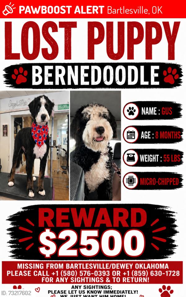 Lost Male Dog last seen Minnesota Street in Bartlesville at the Bell RV Park, Bartlesville, OK 74029