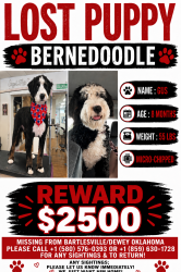 Lost Male Dog last seen Minnesota Street in Bartlesville at the Bell RV Park, Bartlesville, OK 74029