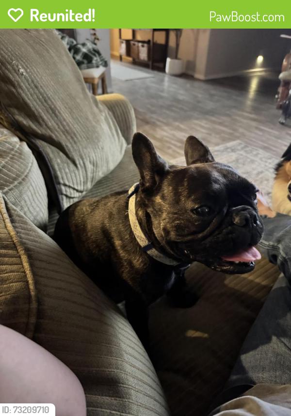 Reunited Female Dog last seen Tropical and Valley, North Las Vegas, NV 89031
