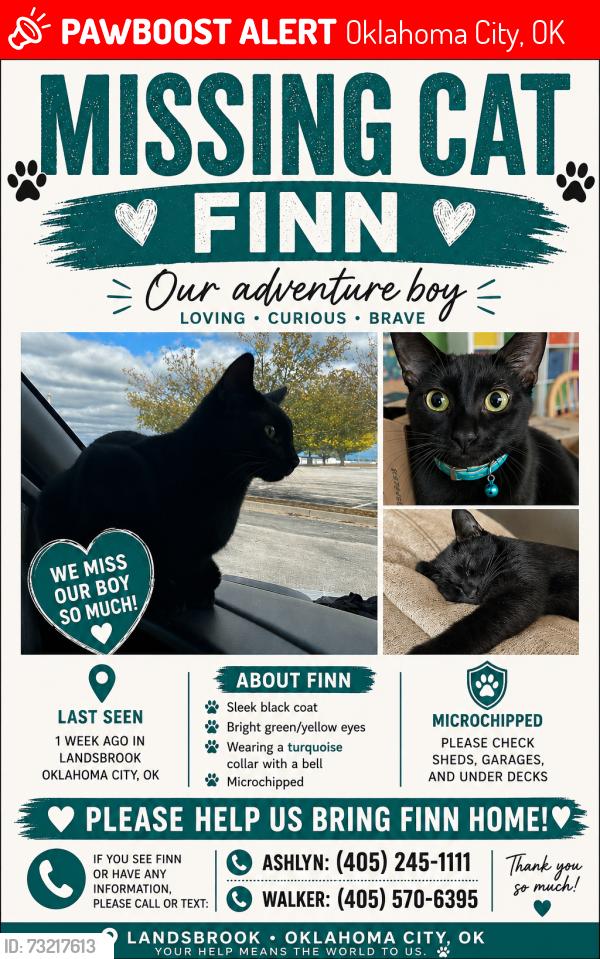 Lost Male Cat last seen Landsbrook neighborhood, Oklahoma City, OK 73132