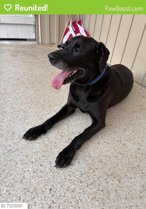 Reunited Male Dog last seen Near Demotropolis, Mobile, AL 36693