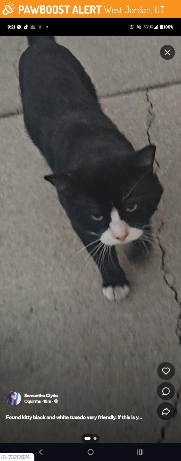 Found/Stray Unknown Cat last seen Ticklegrass Rd, West Jordan, UT 84081