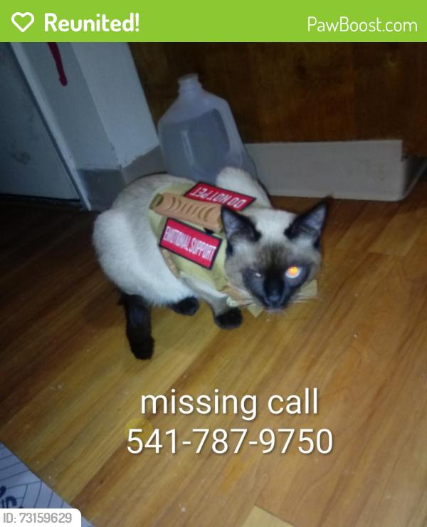 Reunited Male Cat last seen A St and Anderson, Grants Pass, OR 97526