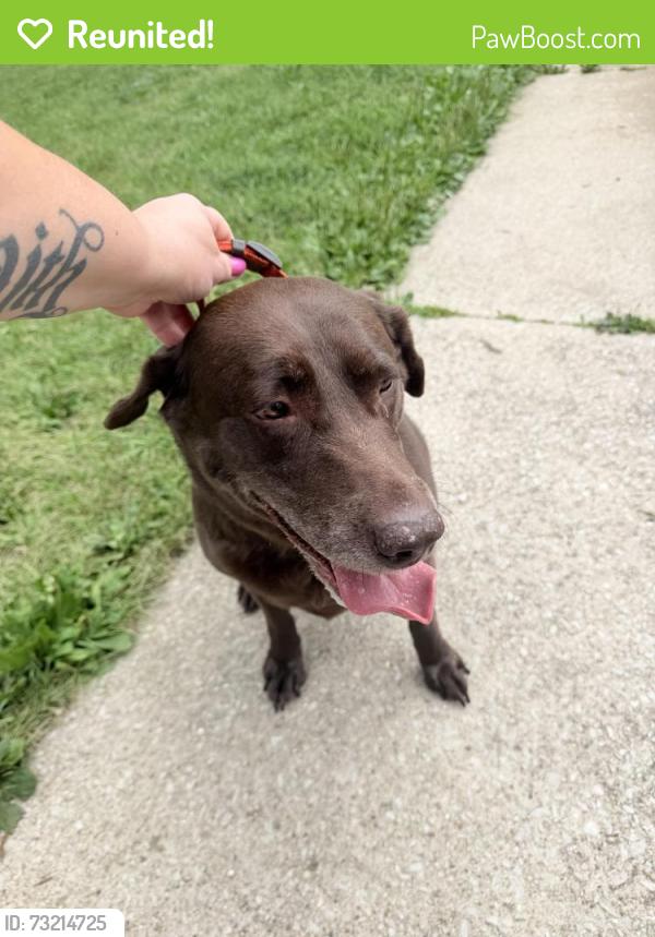 Reunited Female Dog last seen Meadowlark lane, hartland, Hartland, WI 53029