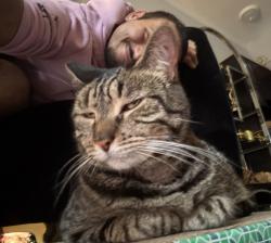 Reunited Male Cat last seen Dickinson St & 22nd St, Philadelphia, PA 19146