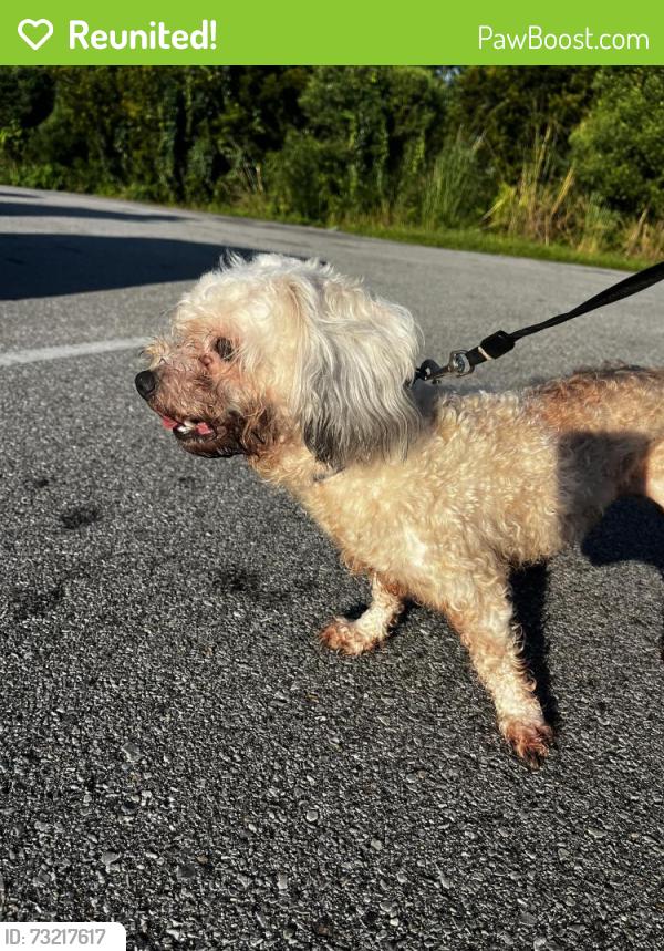 Reunited Male Dog last seen North lagoon, Upper Grand Lagoon, FL 32408