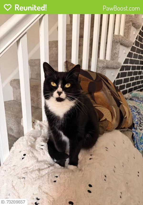 Reunited Female Cat last seen Torresdale & Ashville, Philadelphia, PA 19136