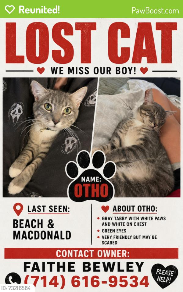 Reunited Male Cat last seen Beach and macdonald, Huntington Beach, CA 92647