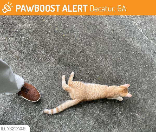 Found/Stray Male Cat last seen Vistamont Dr and Willivee, Decatur, GA 30033