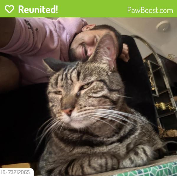 Reunited Male Cat last seen Dickinson St & 22nd St, Philadelphia, PA 19146