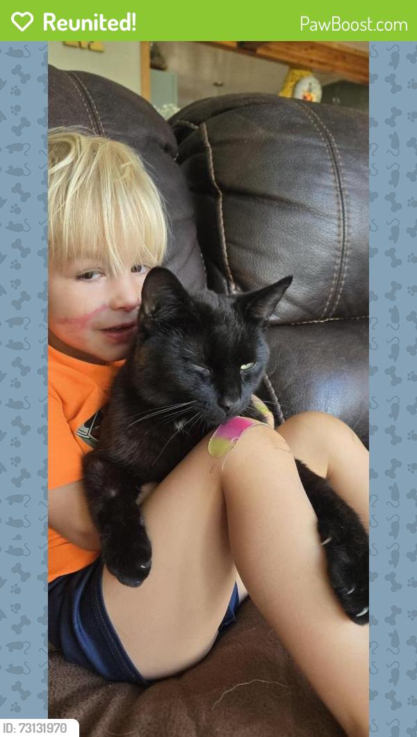Reunited Male Cat last seen Interstate/ highway Bonner, Missoula, MT 59802