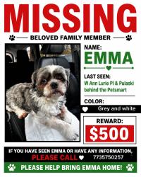 Lost Female Dog last seen Behind shoe Carnival, Pulaski, Chicago, IL 60632