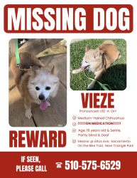 Reunited Female Dog last seen Traction by Triangle Park, Sacramento, CA 95815