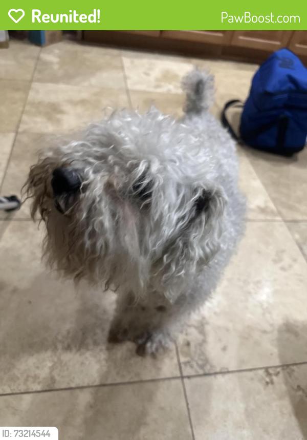 Reunited Male Dog last seen Seminola drive, Casselberry, FL 32707