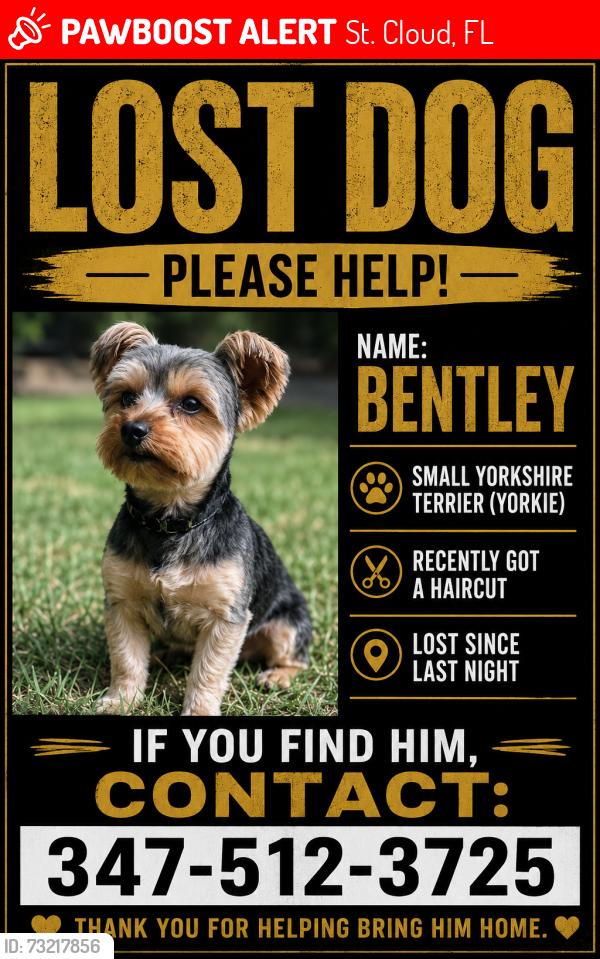 Lost Male Dog last seen Near willowseed ln, St. Cloud, FL 34772