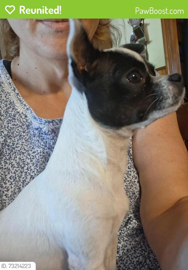 Reunited Female Dog last seen Buggy Hubb Trail, Athens, Texas, Athens, TX 75751
