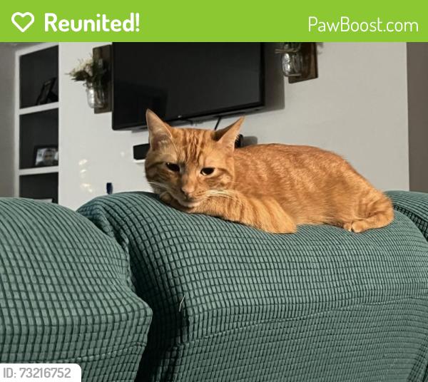 Reunited Male Cat last seen Mcdonough Drive, Gwinnett Village, GA 30093