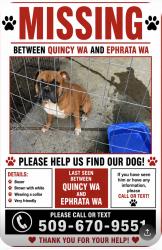 Lost Male Dog last seen Between ephrata wa and quincy wa, Quincy, WA 98848
