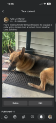 Found/Stray Female Dog last seen Old mocksville, Rowan County, NC 28144