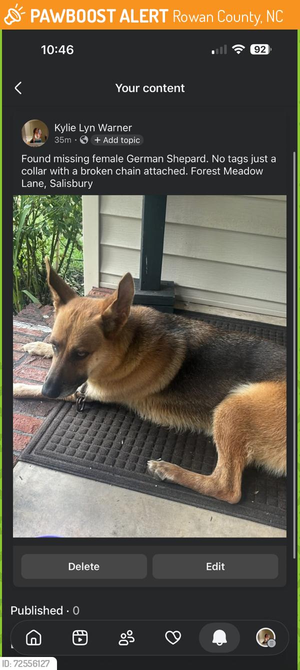 Found/Stray Female Dog last seen Old mocksville, Rowan County, NC 28144