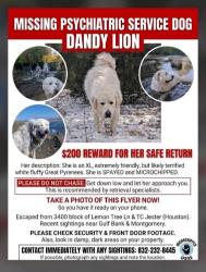Lost Female Dog last seen Tc jester, Houston, TX 77088