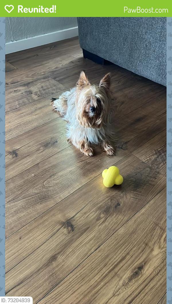 Reunited Female Dog last seen Downen Ave & Latham Ave, Hemet, CA 92543