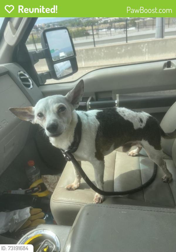 Reunited Male Dog last seen 33rd and wyandot, Denver, CO 80211