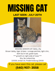Lost Female Cat last seen Lee Hill School Drive, Spotsylvania County, VA 22408