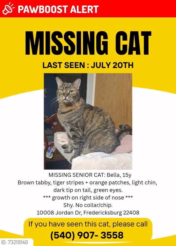 Lost Female Cat last seen Lee Hill School Drive, Spotsylvania County, VA 22408