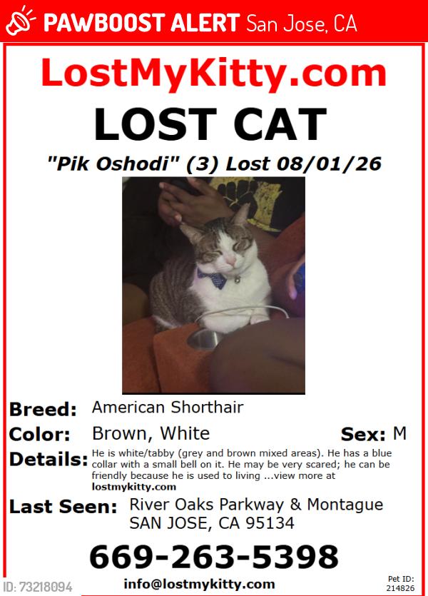 Lost Male Cat last seen Village Center Dr., Research Place, and River Oaks ParkWay, San Jose, CA 95134