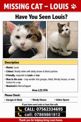 Lost Male Cat last seen Rimrose Park, Waterloo, England L23 0TA