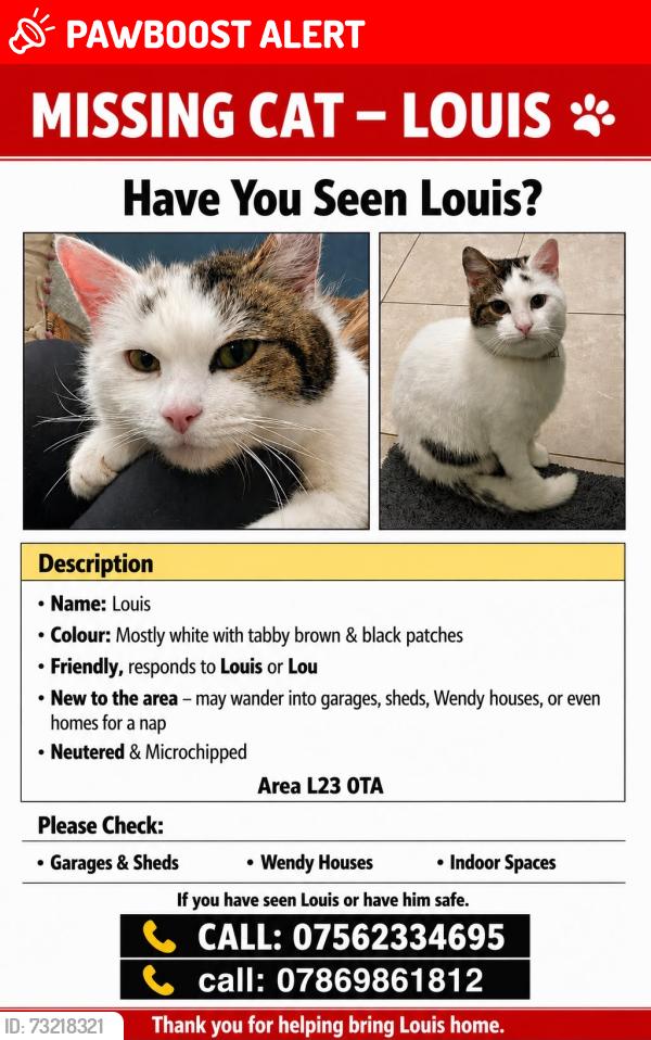 Lost Male Cat last seen Rimrose Park, Waterloo, England L23 0TA