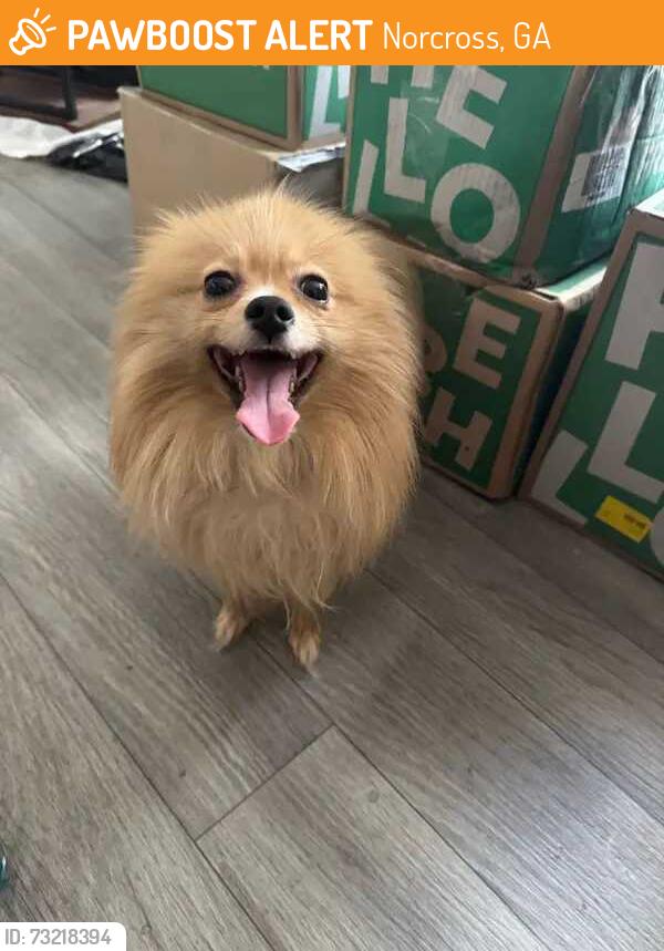 Found/Stray Unknown Dog last seen KRC Reserve apmts on 4200 Jimmy Carter Blvd, Norcross, GA 30093