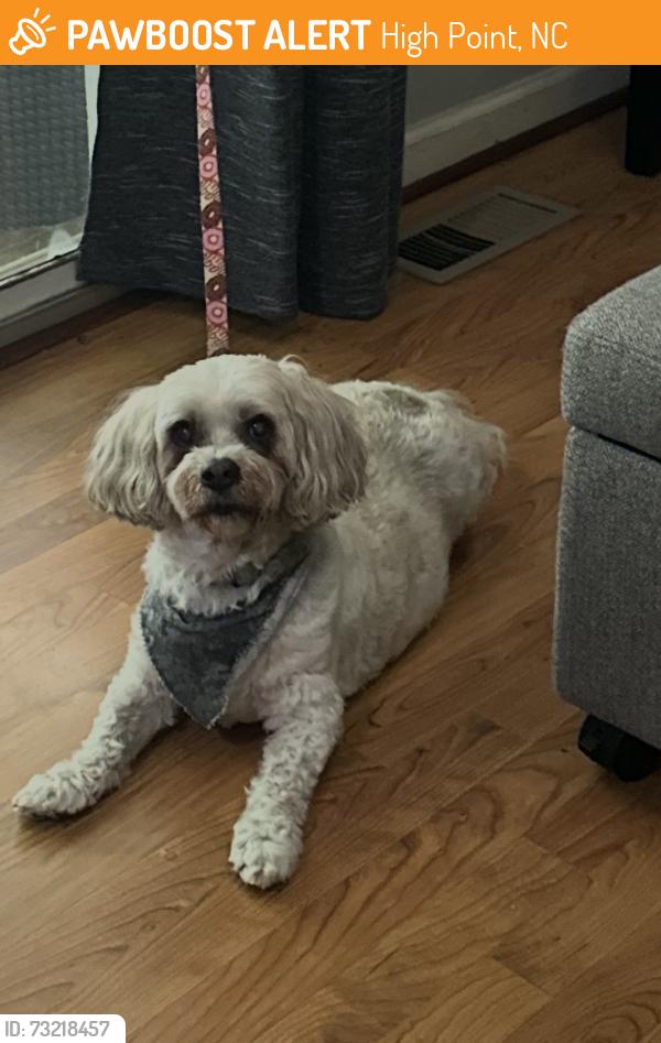 Found/Stray Unknown Dog last seen Club and Johnson, High Point, NC 27265