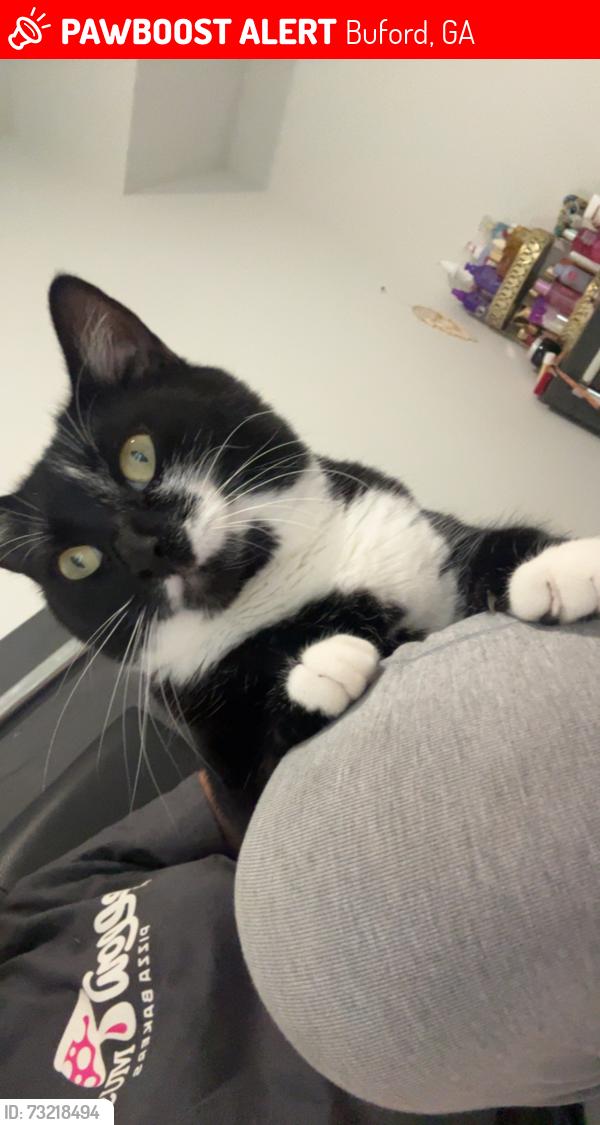 Lost Female Cat last seen Woodward mill/ woods of Waterstone apt, Buford, GA 30518