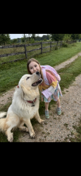 Lost Male Dog last seen Huguenot Trail, Powhatan, VA 23139