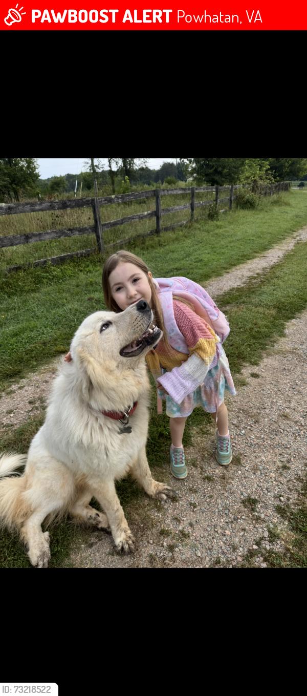 Lost Male Dog last seen Huguenot Trail, Powhatan, VA 23139