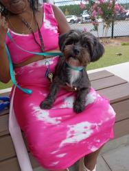 Shelter Stray Male Dog last seen Near Thomasvile Dr, Atlanta, GA, 1251 Fulton Industrial Blvd NW, Atlanta, GA 30336, USA